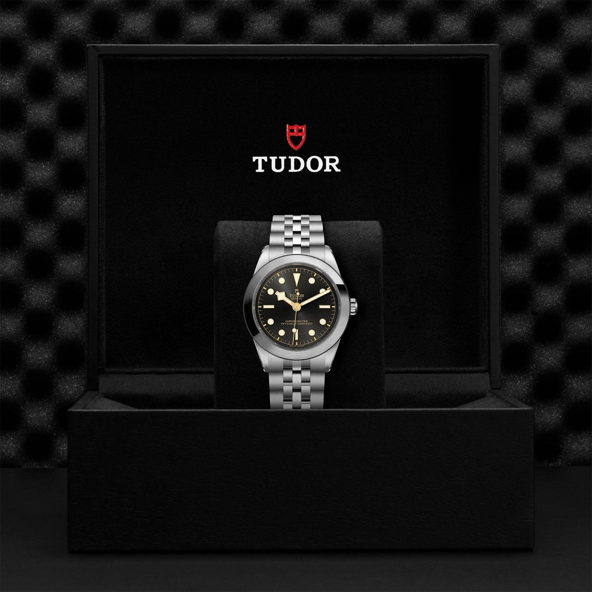 TUDOR Black Bay 39 Steel