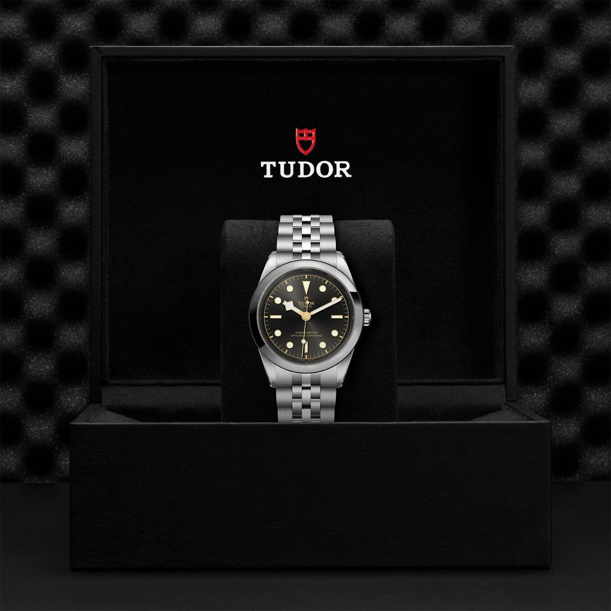 TUDOR Black Bay 41 Steel