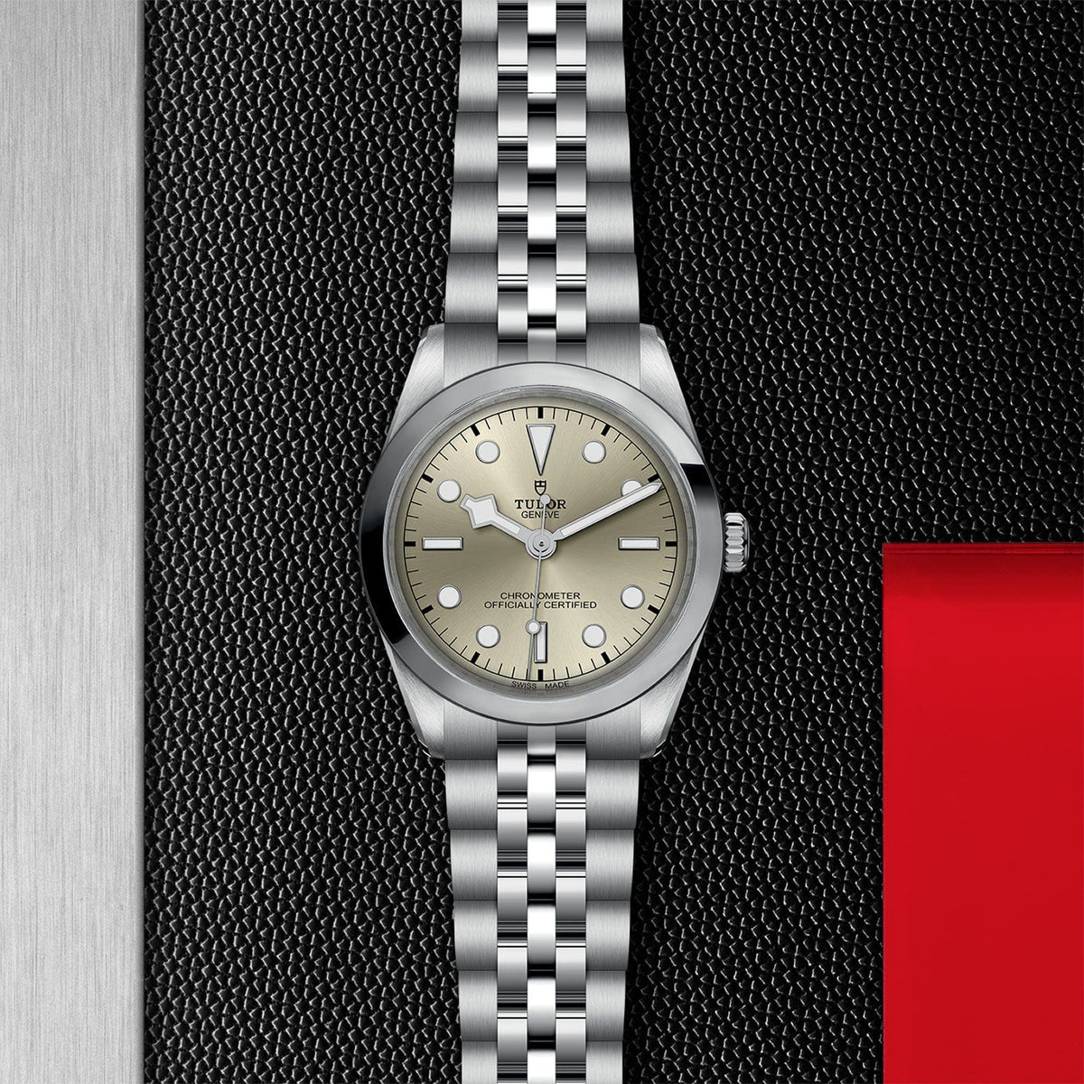 TUDOR Black Bay 36 Steel