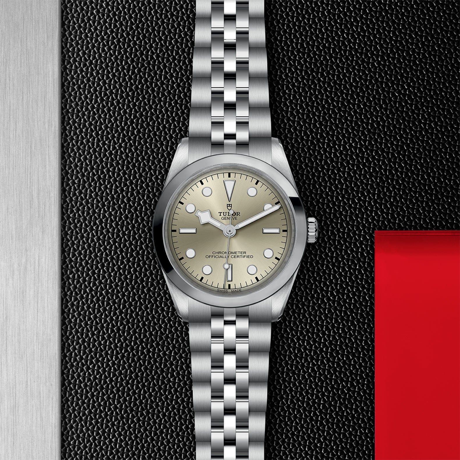 TUDOR Black Bay 36 Steel