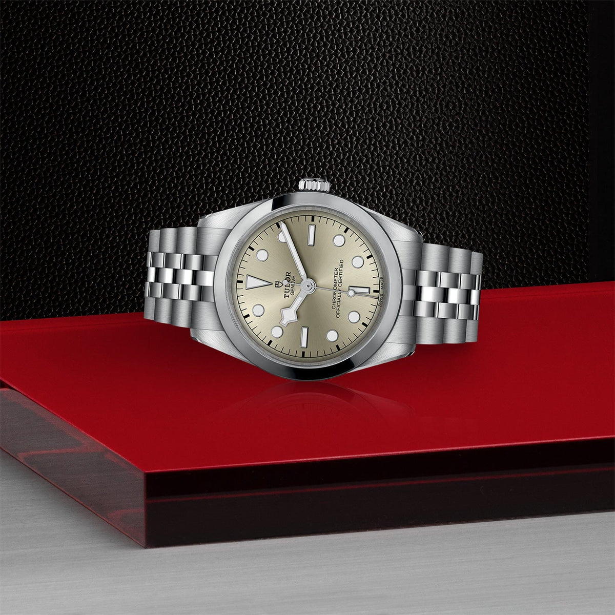 TUDOR Black Bay 36 Steel