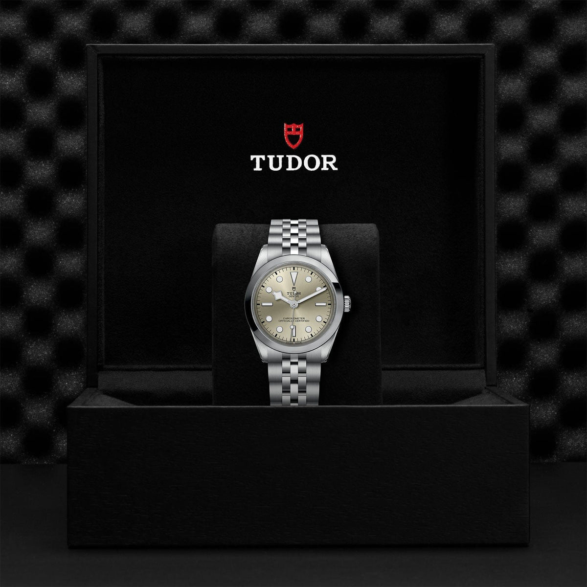 TUDOR Black Bay 36 Steel