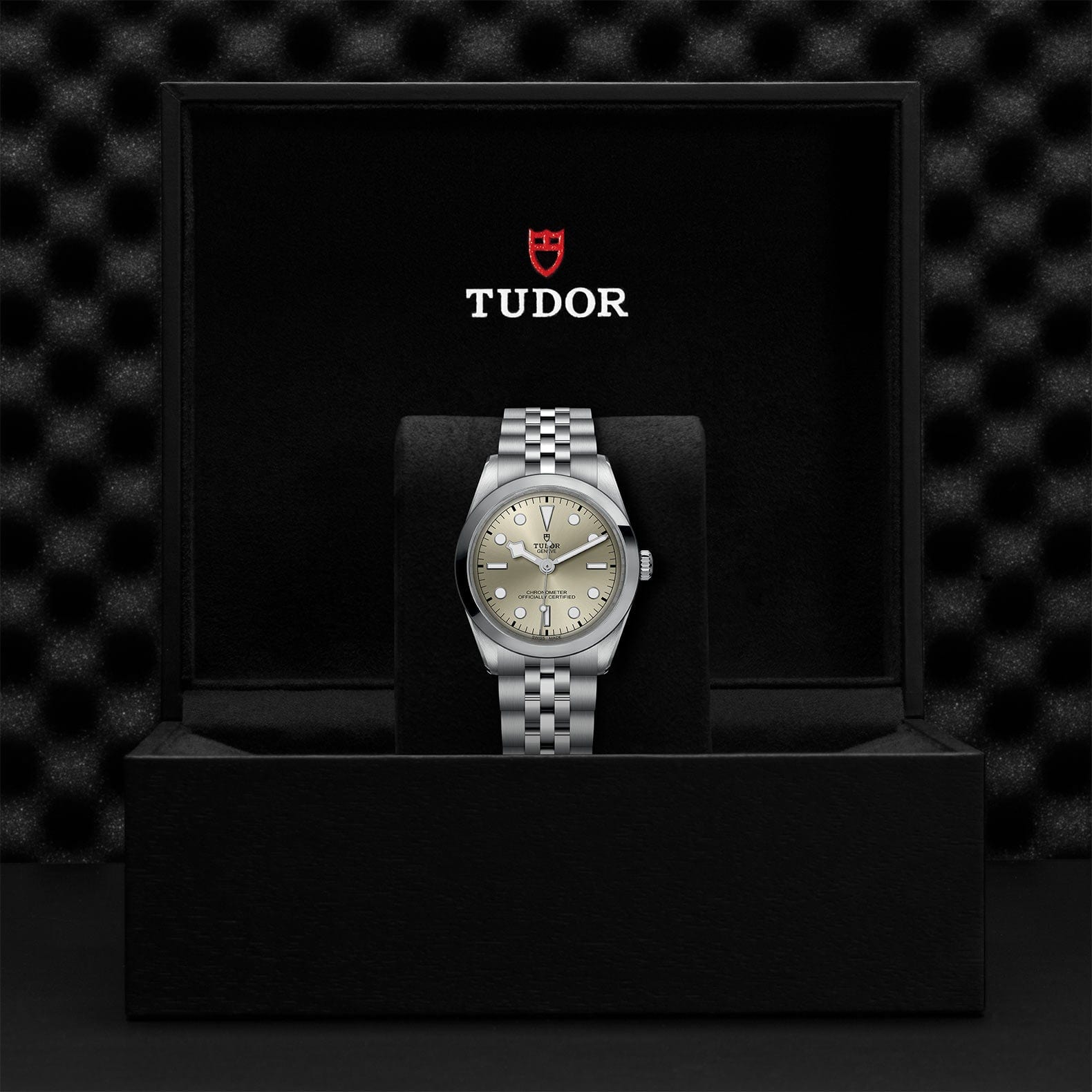 TUDOR Black Bay 36 Steel