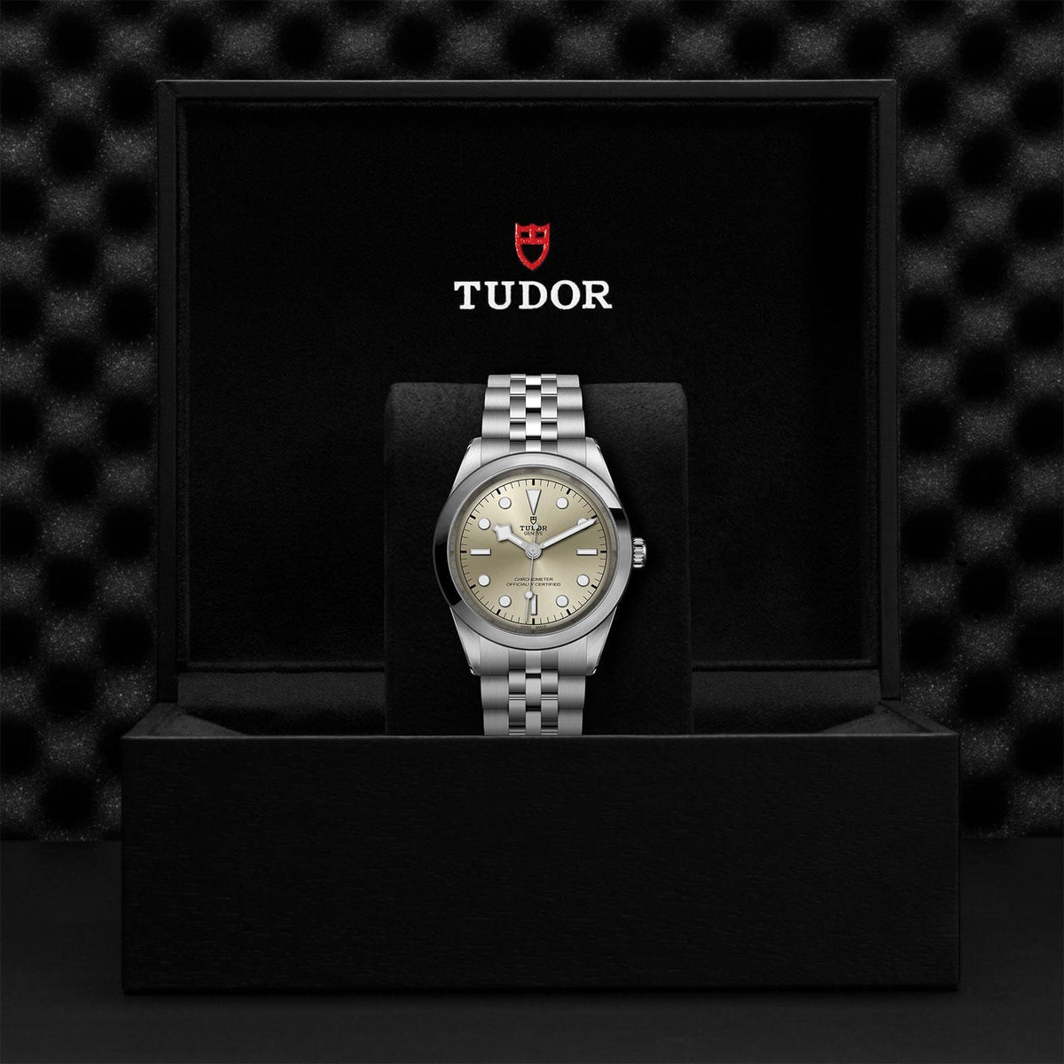 TUDOR Black Bay 41 Steel
