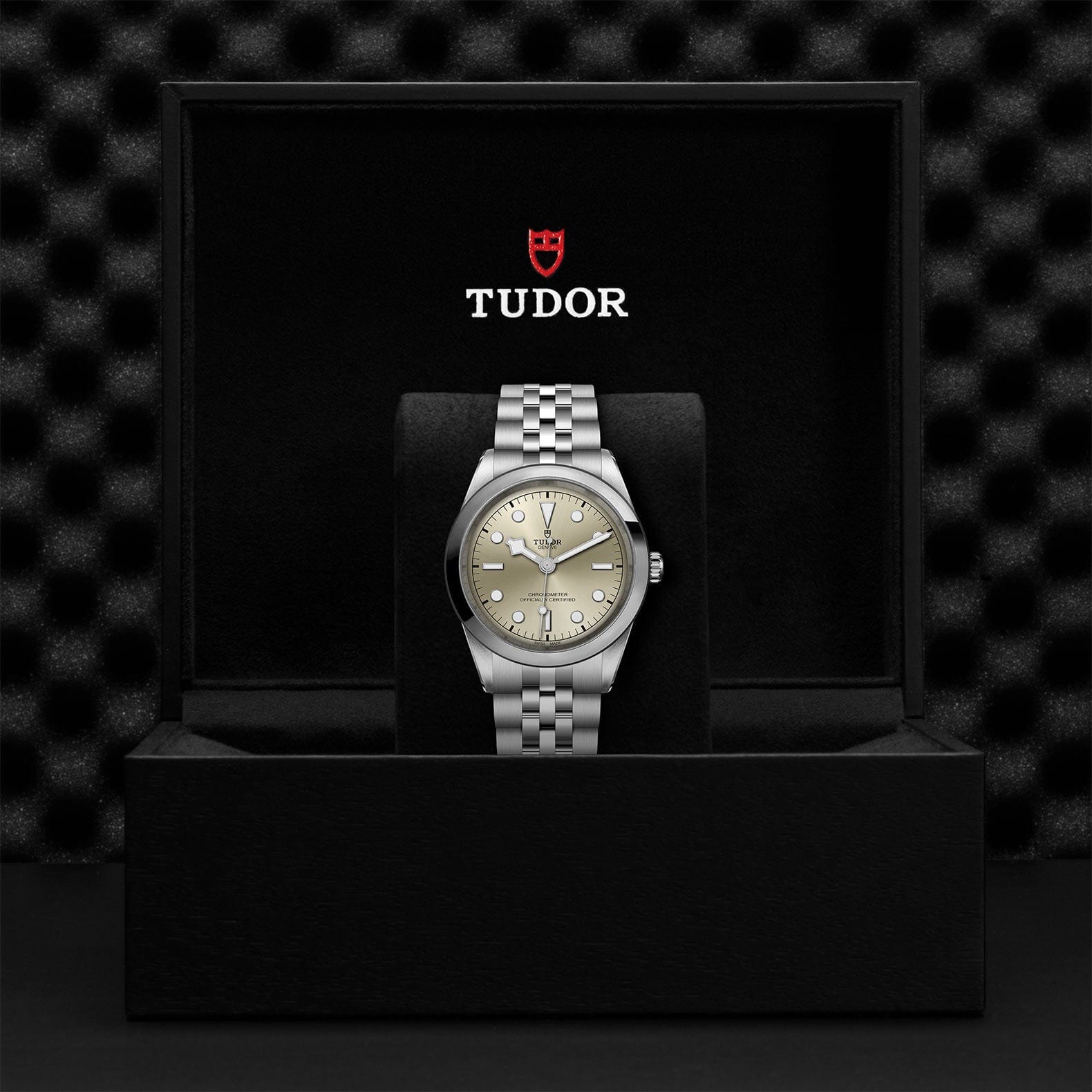 TUDOR Black Bay 41 Steel