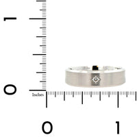 14K White Gold Diamond Satin Band