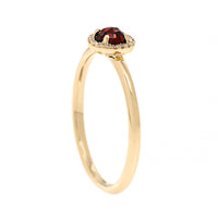 14K Yellow Gold Garnet and Diamond Halo Ring