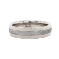 18K White Gold Meteorite Canopus Rounded Band