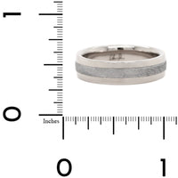 18K White Gold Meteorite Canopus Rounded Band