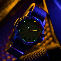 Luminox Leatherback SEA Turtle
