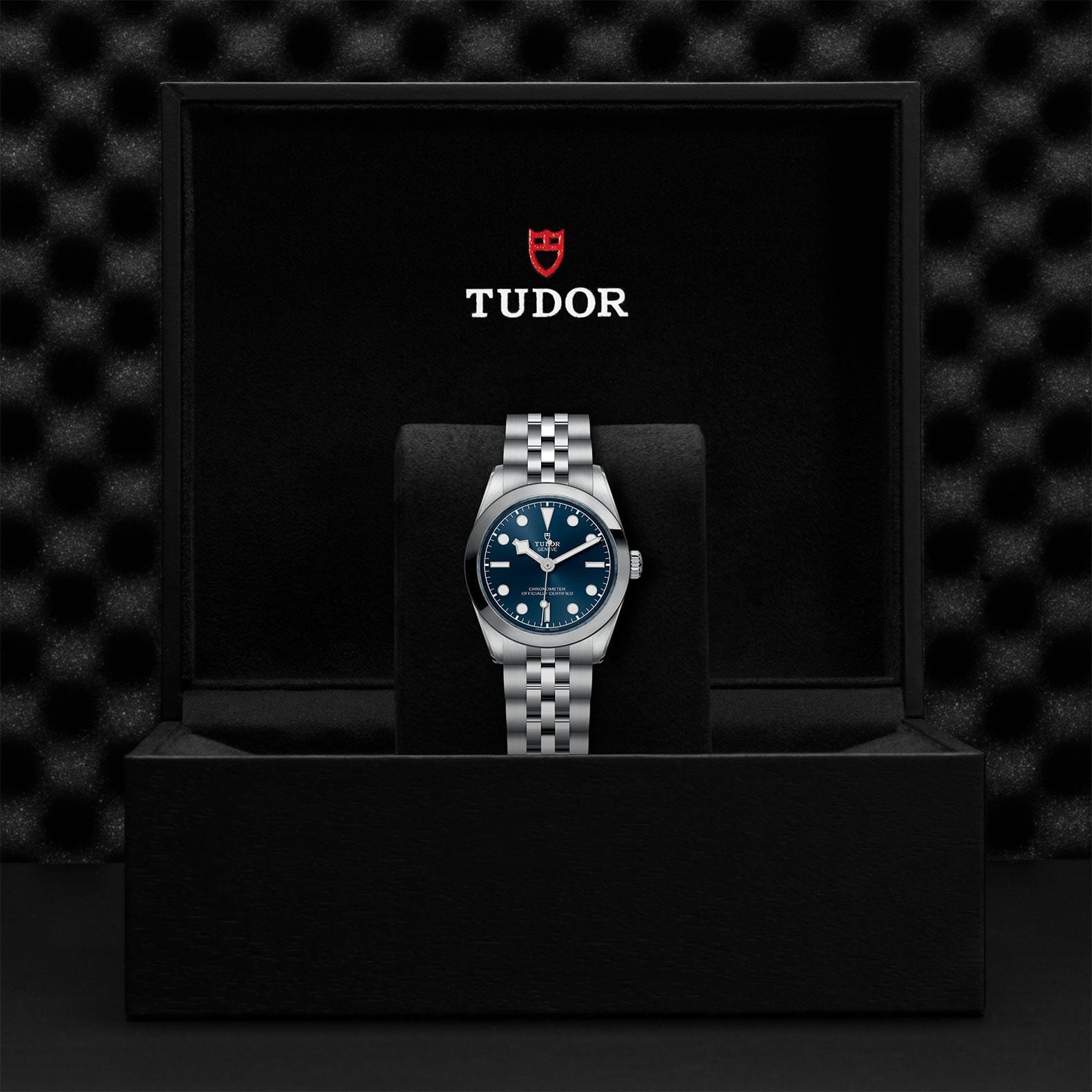 TUDOR Black Bay 31