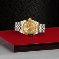 TUDOR Black Bay 31 S&G M79603-0005