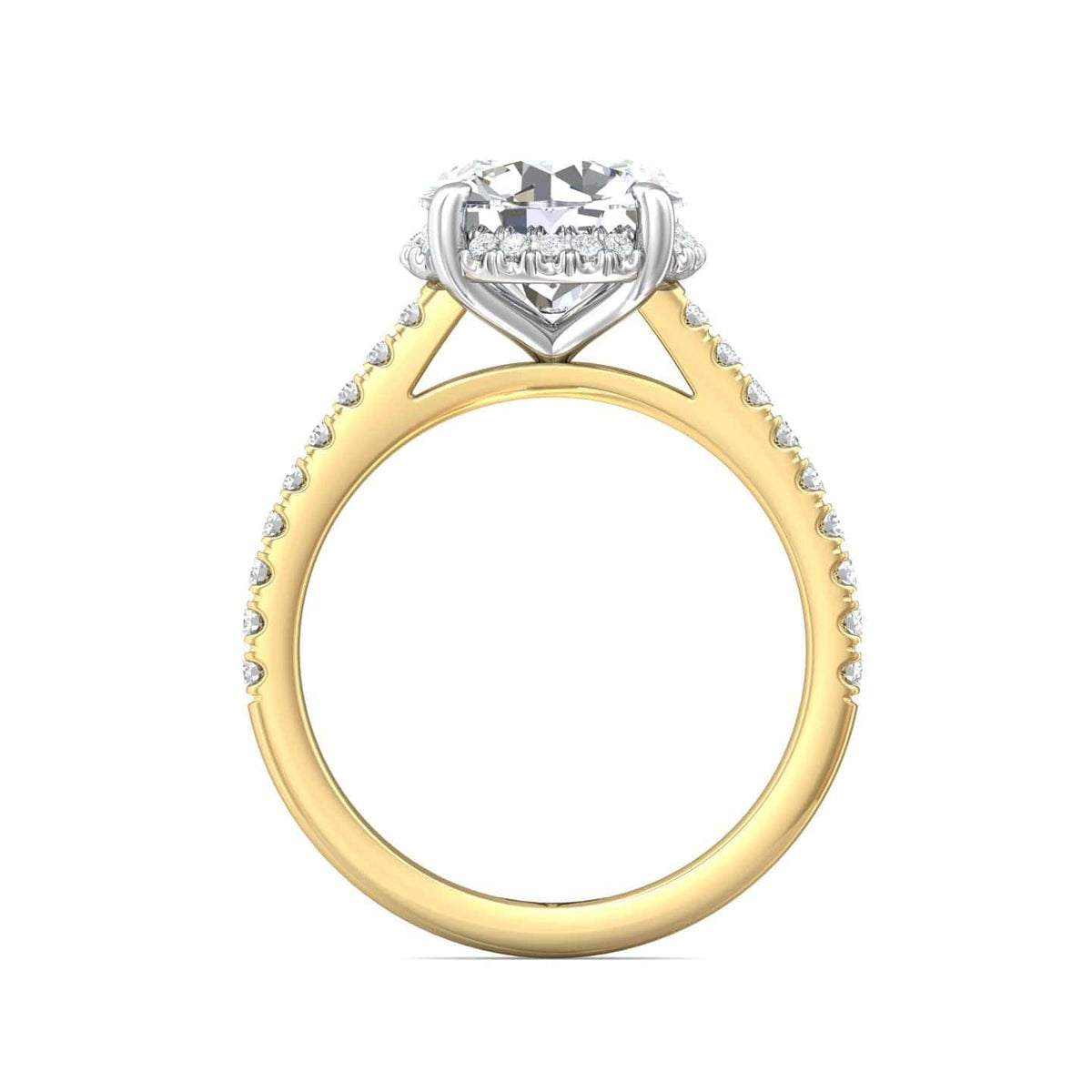 18K Yellow Gold Cathedral Mounting with 4 Prong 18K White Gold Head