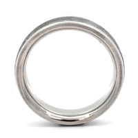 Platinum and Gibeon Meteorite Vega Patterned Wedding Band