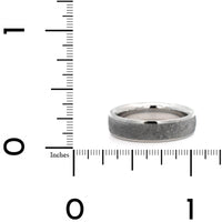 Platinum and Gibeon Meteorite Vega Patterned Wedding Band