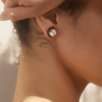 Emily P. Wheeler 18K Yellow Gold Aquamarine and Tiger's Eye Button Stud Earrings