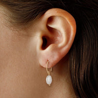 14K Yellow Gold Pearl Coin Drop Earrings