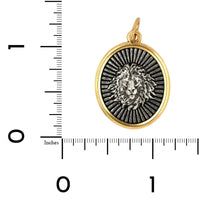 Sterling Silver & 18K Yellow Gold Ruche Charm with Lion Head