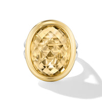 Albion® Oval Ring in Sterling Silver with 18K Yellow Gold and Champagne Citrine, 21mm
