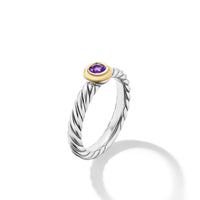 Petite Cable Ring in Sterling Silver with 14K Yellow Gold and Amethyst, 2.8mm