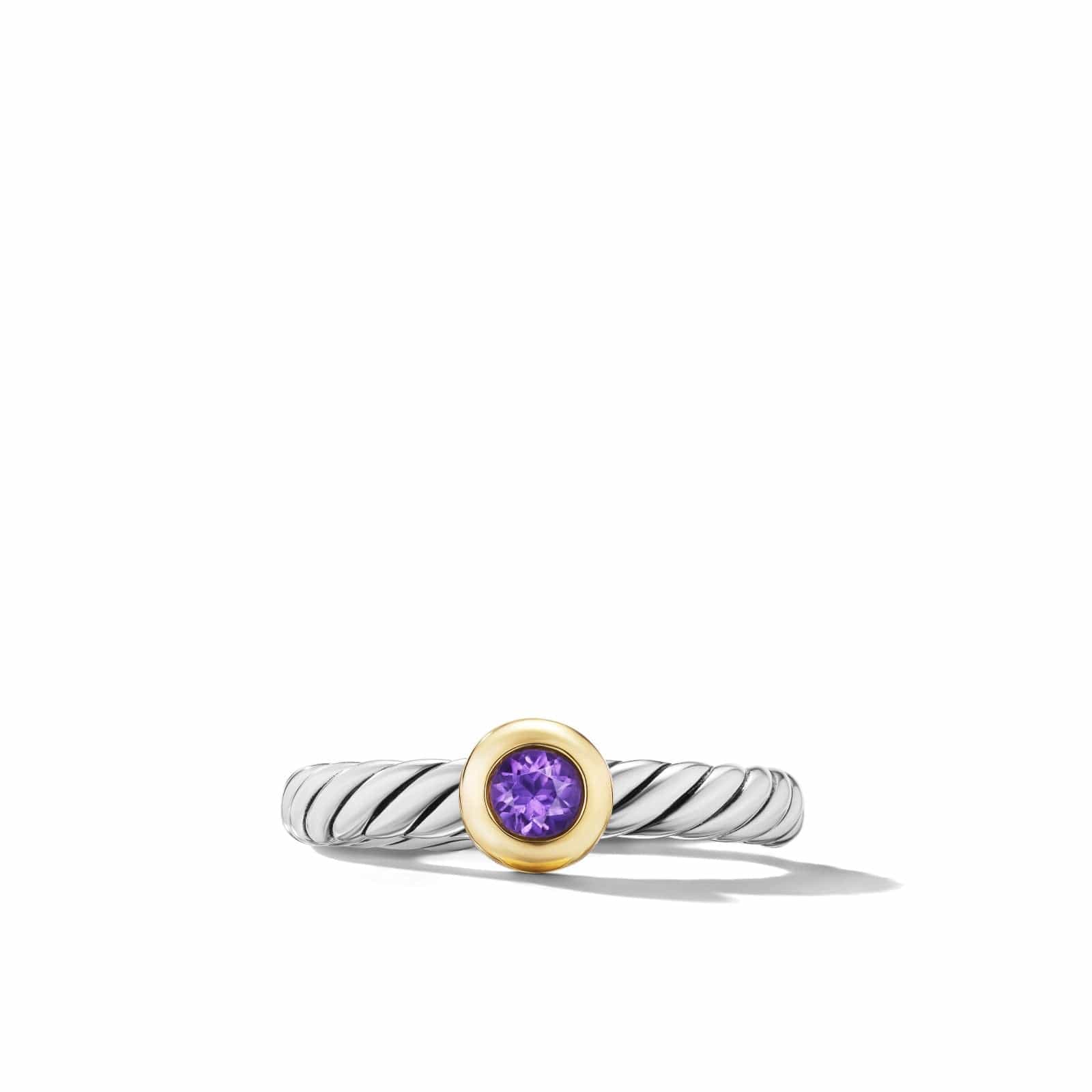 Petite Cable Ring in Sterling Silver with 14K Yellow Gold and Amethyst, 2.8mm
