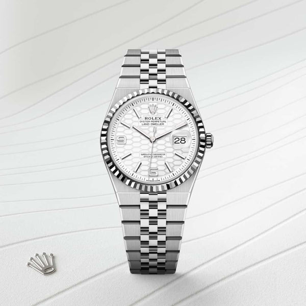 Presenting the Rolex Land-Dweller watch
