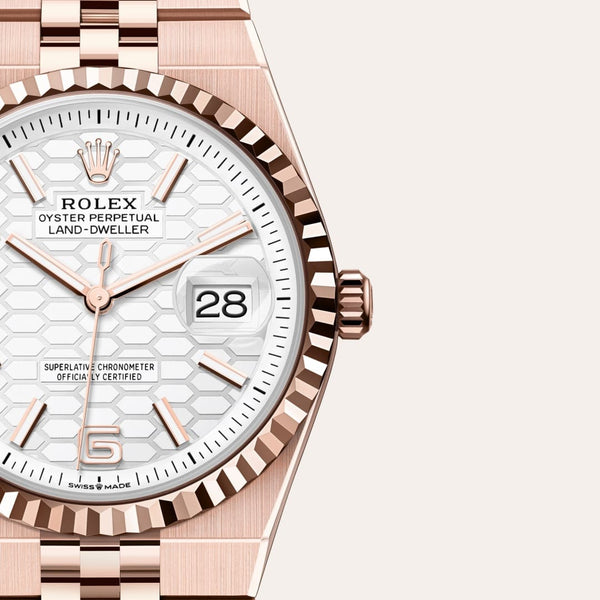 Dial closeup of a Rolex Land-Dweller watch