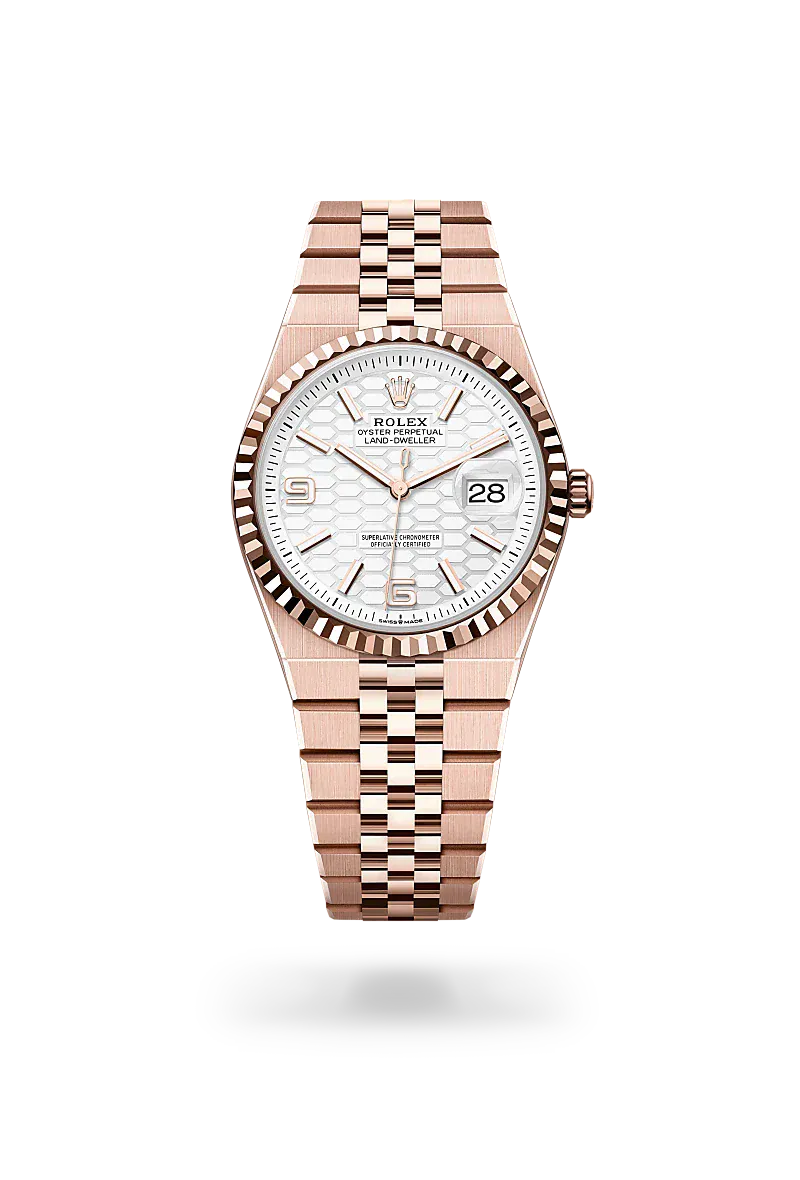 Front facing Rolex Land-Dweller watch