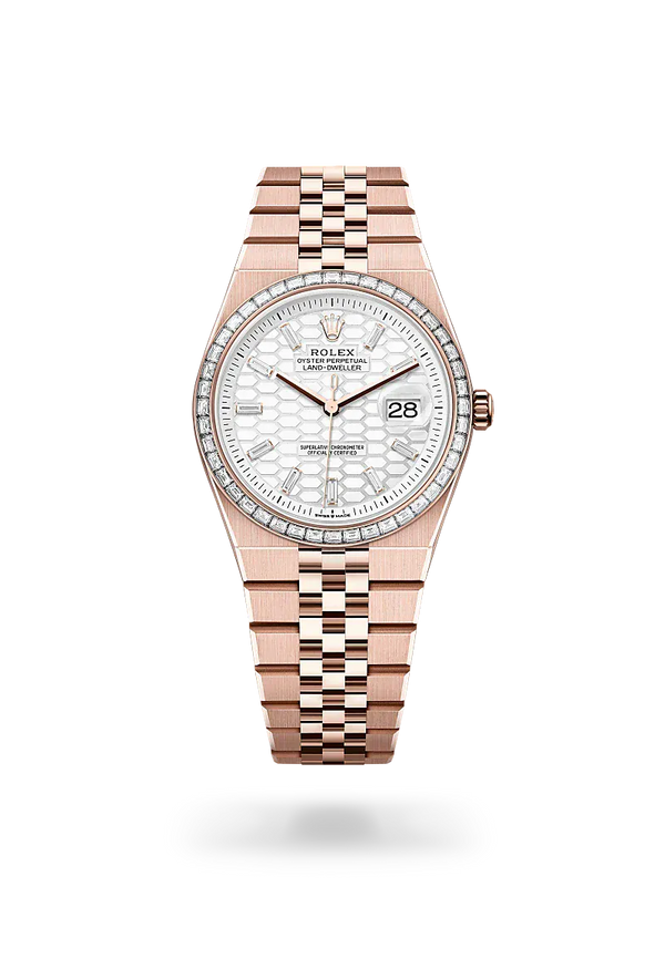  Land-Dweller 36 with Oyster, 36 mm, Everose gold and diamonds