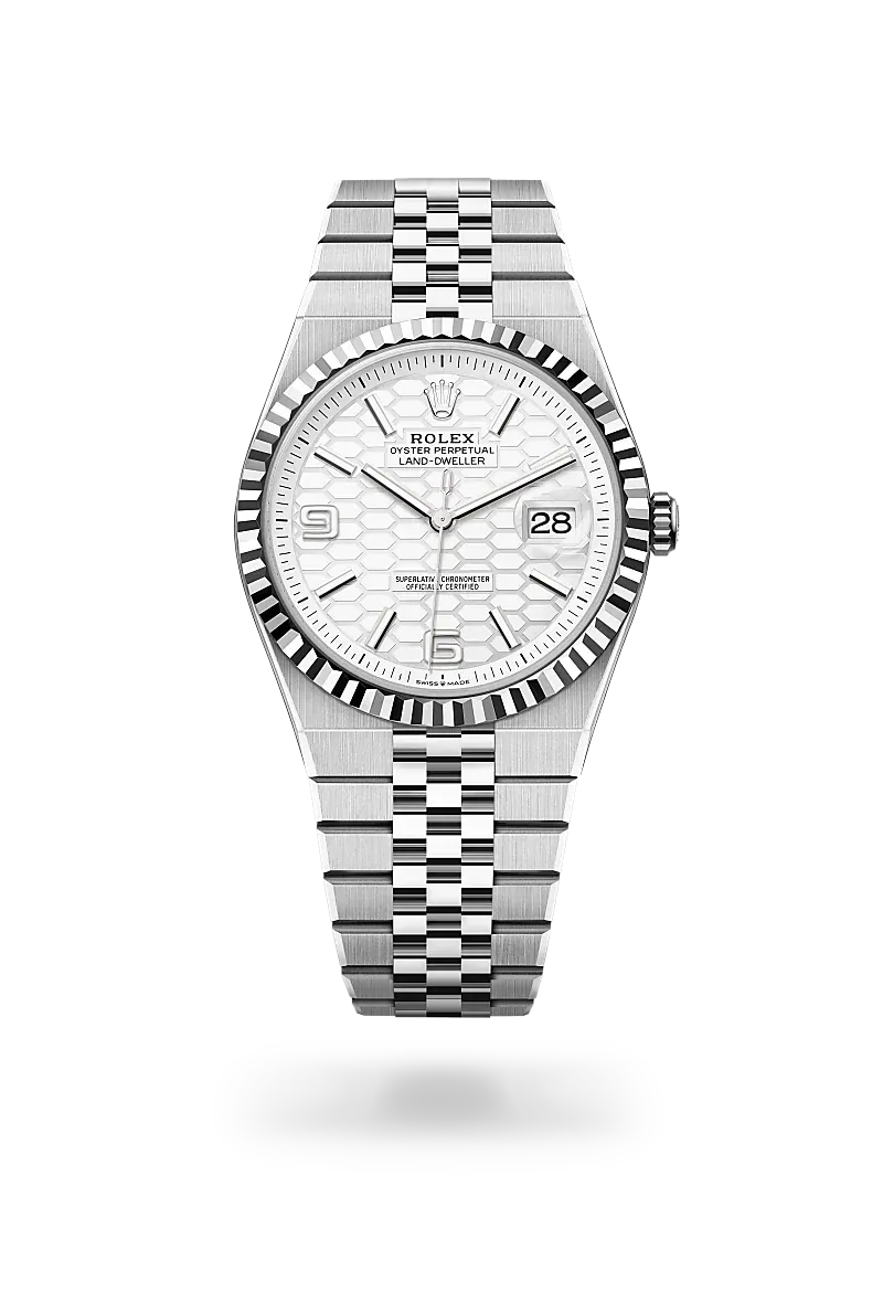 Front facing Rolex Land-Dweller watch