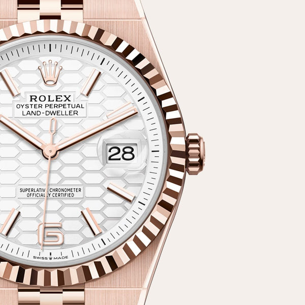 Dial closeup of a Rolex Land-Dweller watch