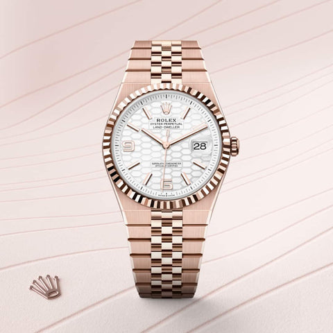 Presenting the Rolex Land-Dweller watch