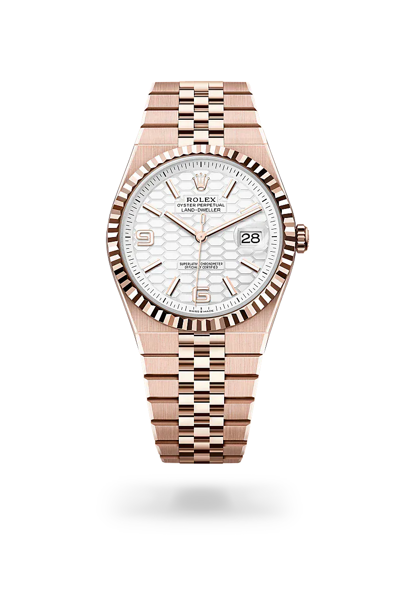 Front facing Rolex Land-Dweller watch
