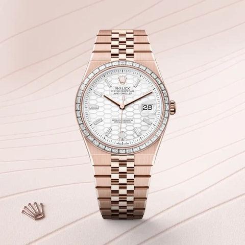 Presenting the Rolex Land-Dweller watch