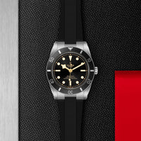 TUDOR Black Bay 54 M79000N-0002