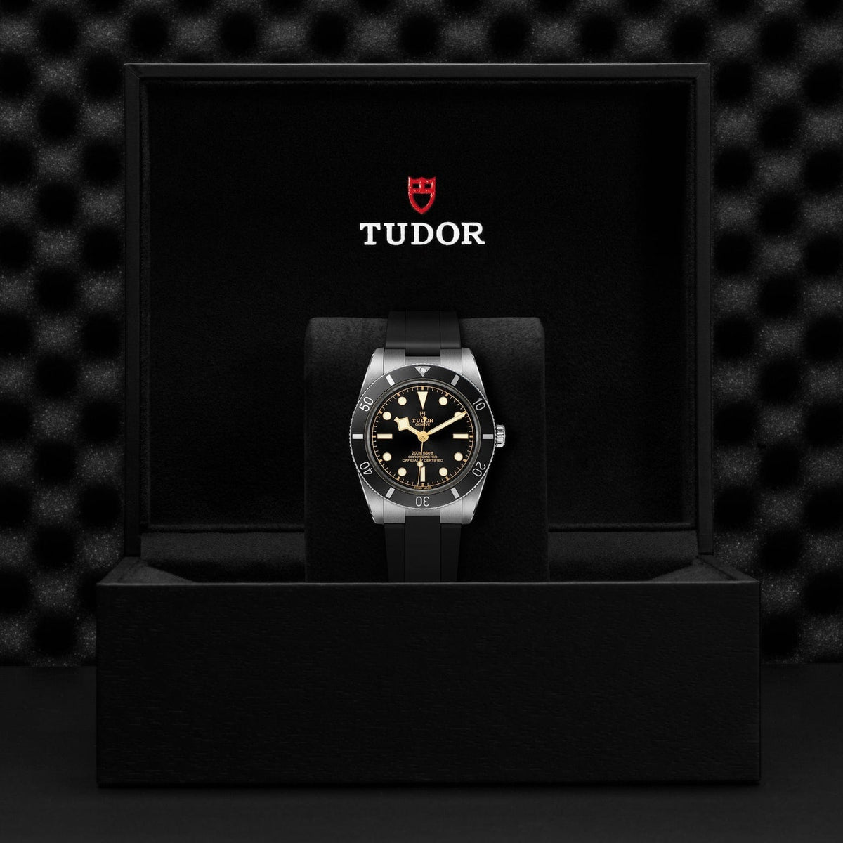 TUDOR Black Bay 54 M79000N-0002