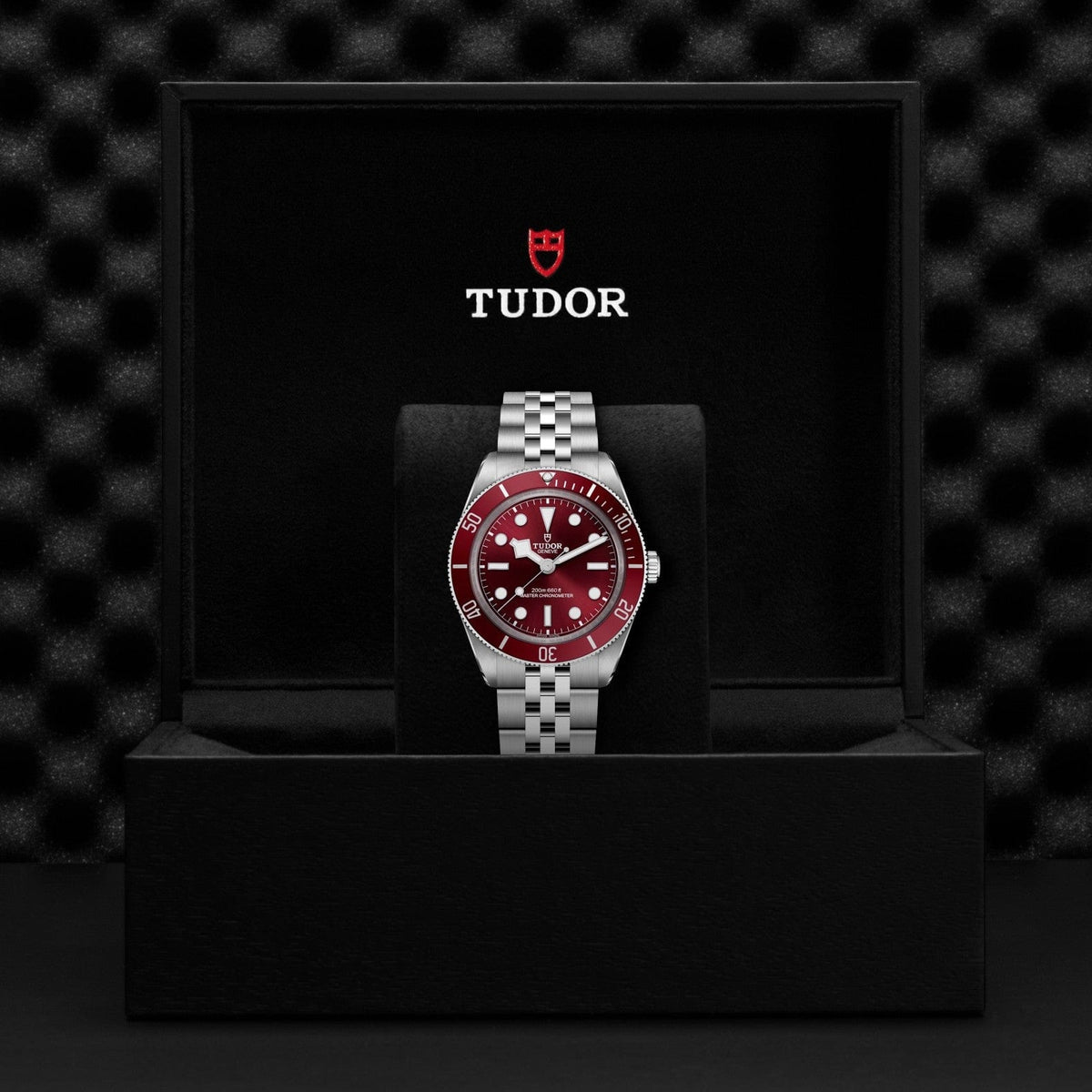 TUDOR Black Bay 58 M7939A1A0RU-0001
