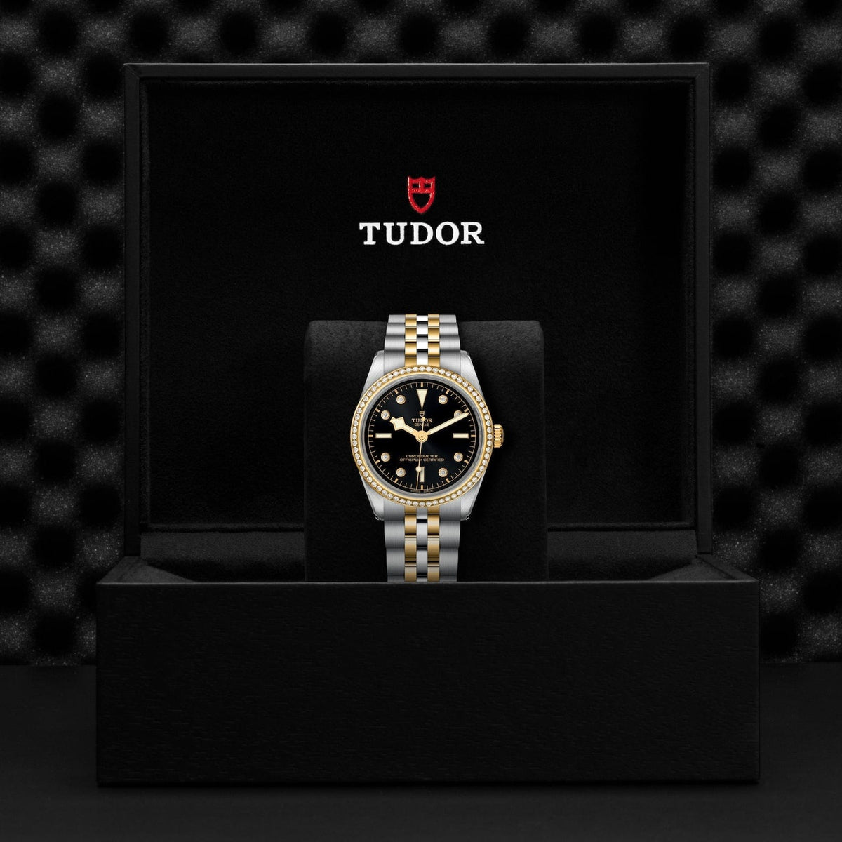 TUDOR Black Bay 36 S&G M79653-0005