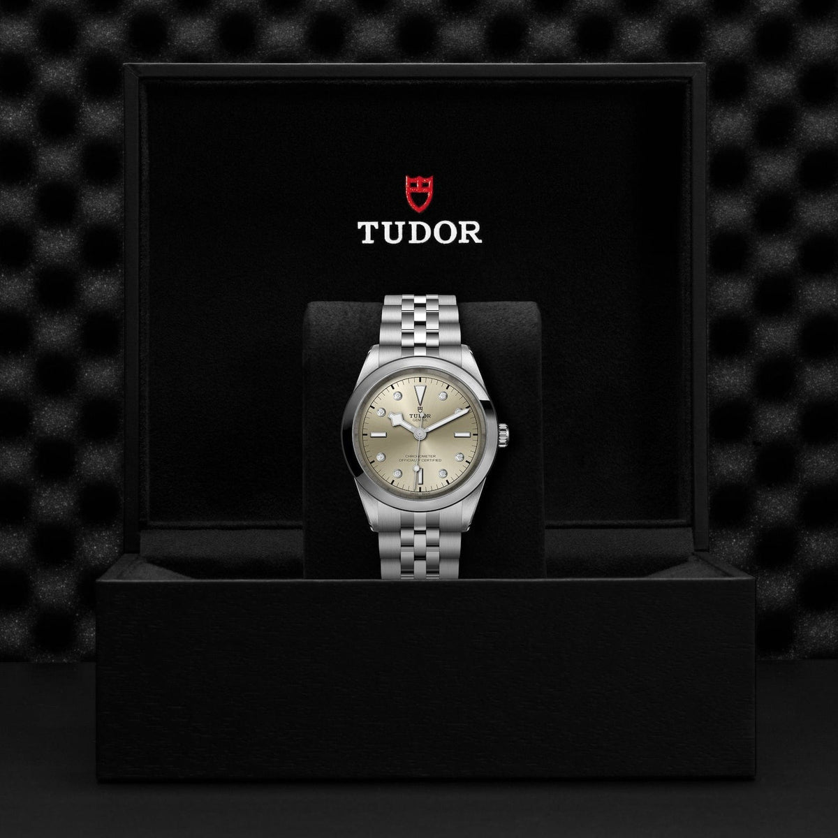 TUDOR Black Bay 41 Steel M79680-0006