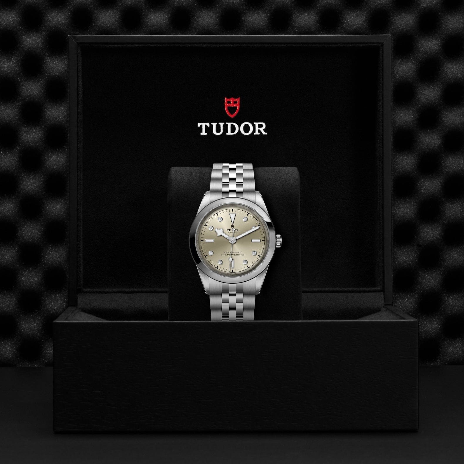 TUDOR Black Bay 41 Steel M79680-0006