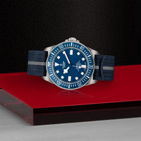 TUDOR Pelagos FXD 42 Titanium Blue M25707B-0001/26