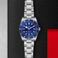 TUDOR Black Bay 54 M79000B-0001