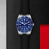 TUDOR Black Bay 54 M79000B-0002