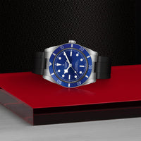 TUDOR Black Bay 54 M79000B-0002