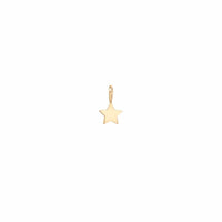 14K Yellow Gold Star Charm