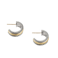 Hoop Earrings with Gold