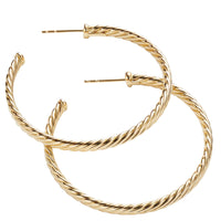 Medium Cablespira Hoop Earrings in 18K Yellow Gold