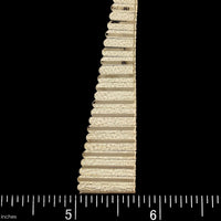 14K Yellow Gold Fringe Necklace