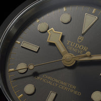 TUDOR Black Bay 31/36/39/41 M79640-0001