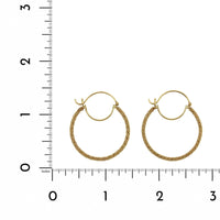 Amali 18K Yellow Gold Medium Double Hoop Earrings